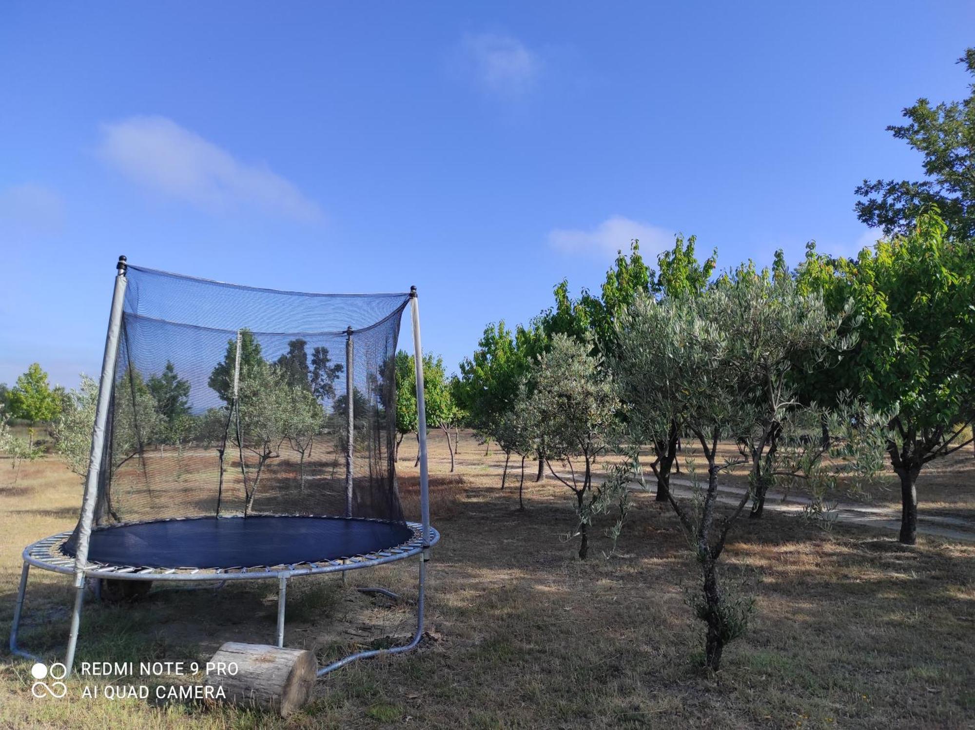 Quinta Damigo Konuk evi Seia Dış mekan fotoğraf