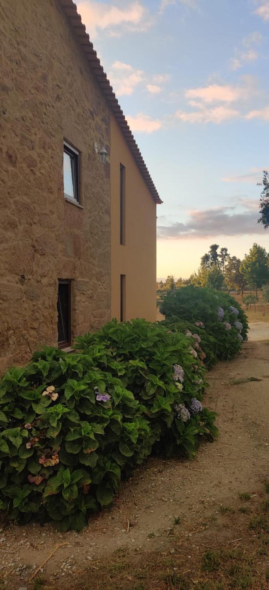 Quinta Damigo Konuk evi Seia Dış mekan fotoğraf