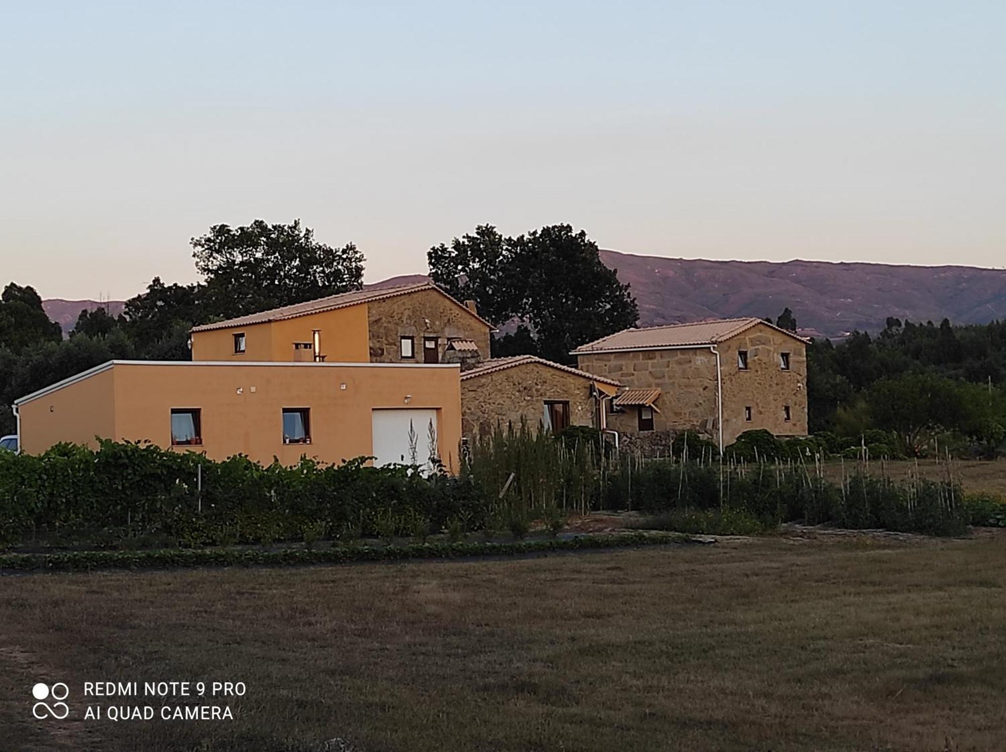 Quinta Damigo Konuk evi Seia Dış mekan fotoğraf