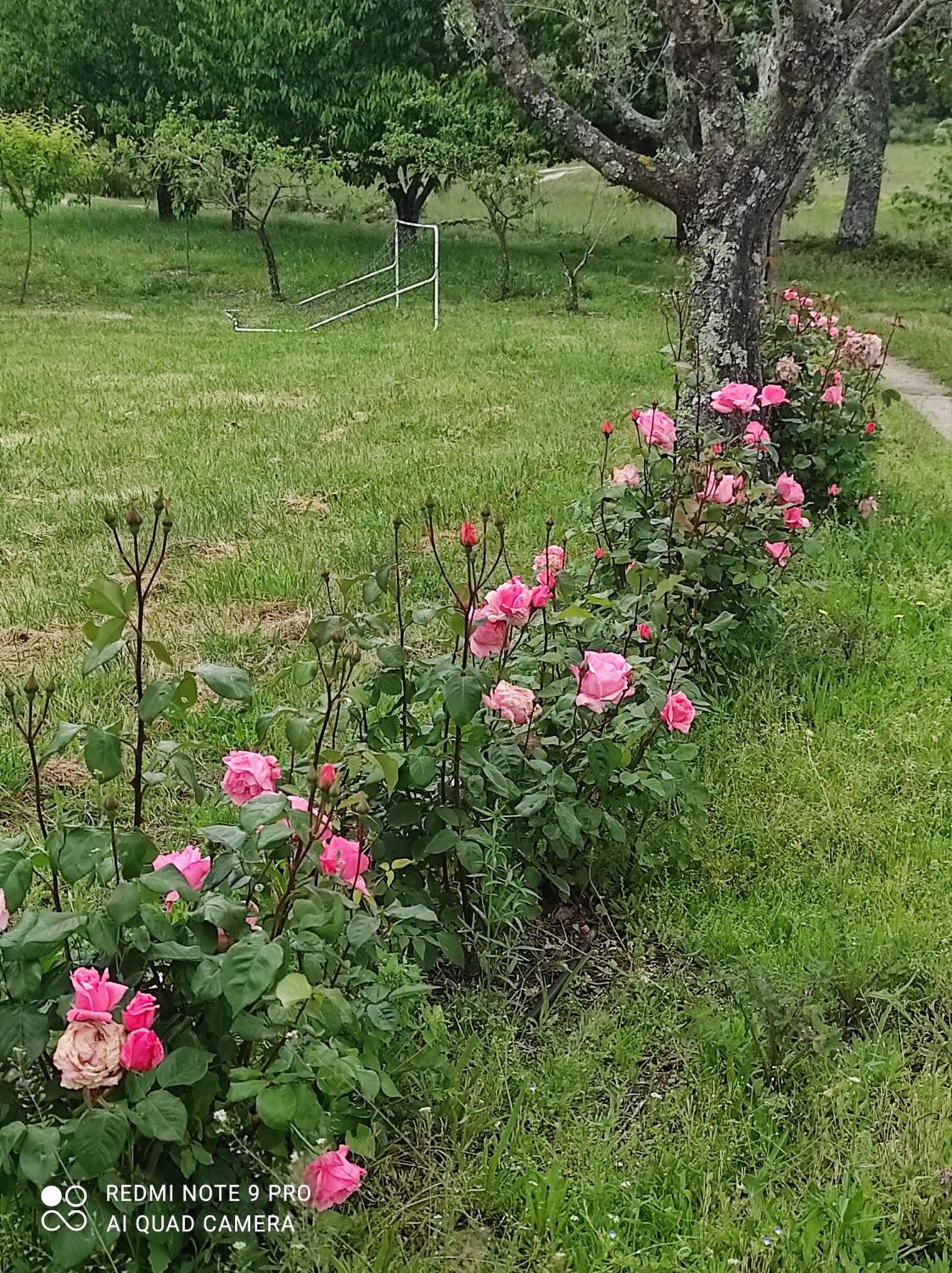 Quinta Damigo Konuk evi Seia Dış mekan fotoğraf