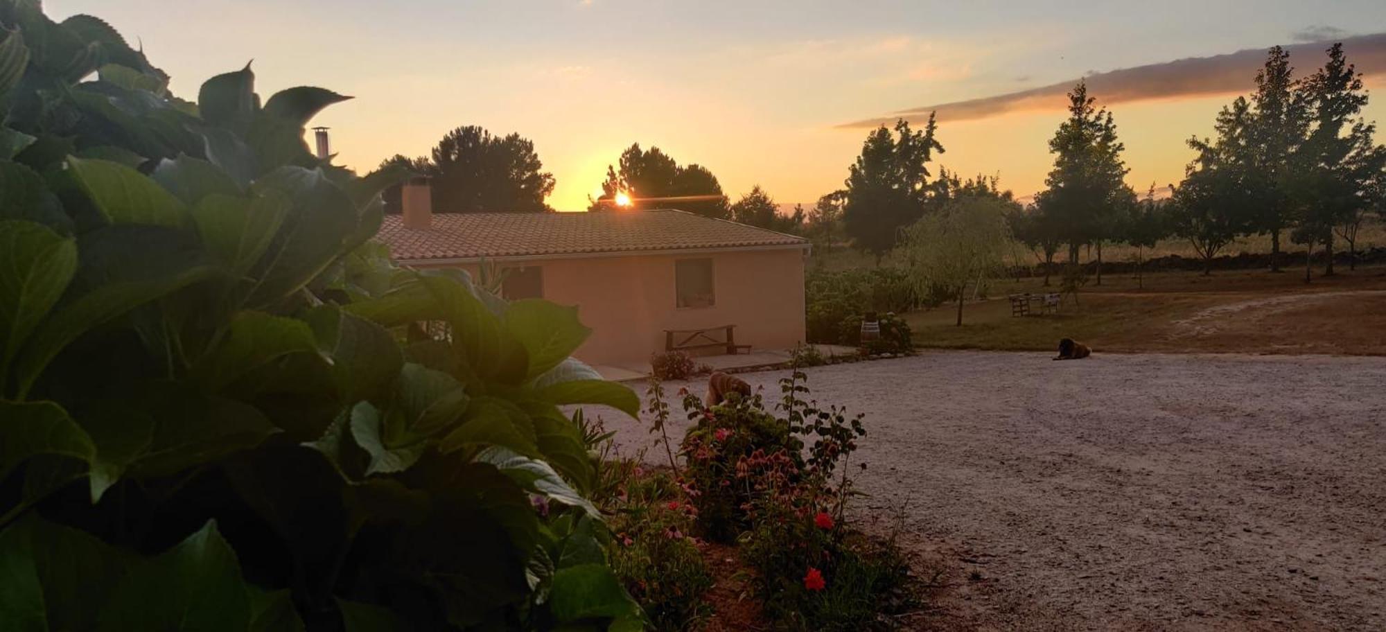 Quinta Damigo Konuk evi Seia Dış mekan fotoğraf