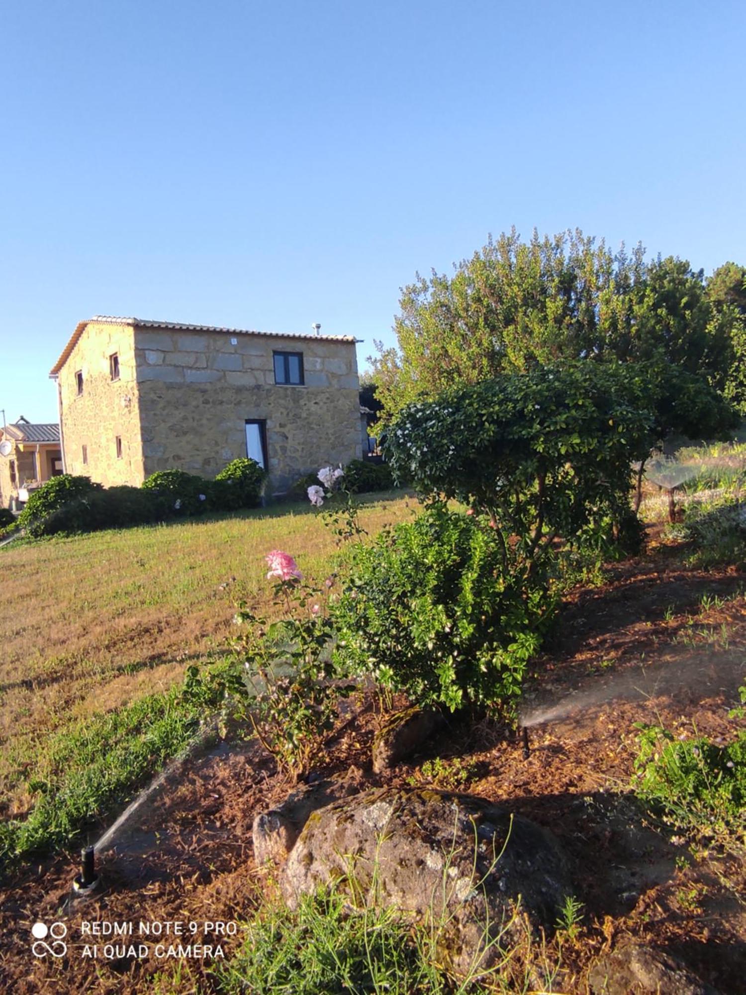 Quinta Damigo Konuk evi Seia Dış mekan fotoğraf