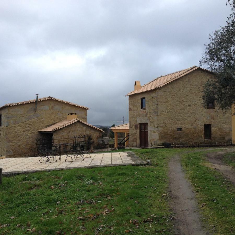 Quinta Damigo Konuk evi Seia Dış mekan fotoğraf