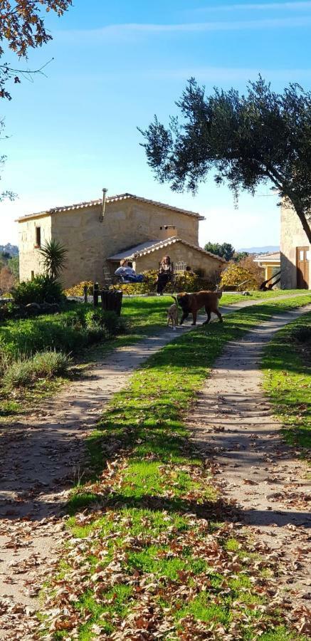 Quinta Damigo Konuk evi Seia Dış mekan fotoğraf
