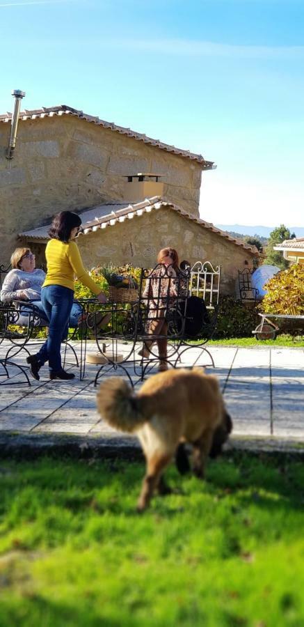 Quinta Damigo Konuk evi Seia Dış mekan fotoğraf